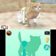 Nintendogs + Cats:  French Bulldog & New Friends 