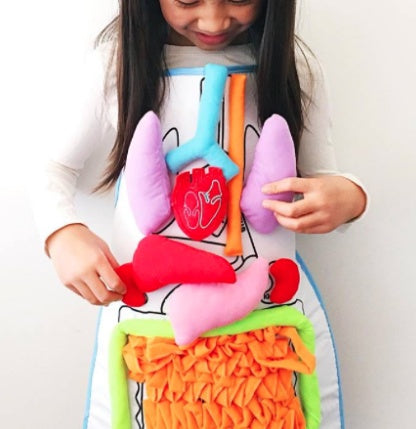 Child holding a colorful anatomical model of the human body