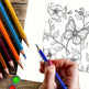 Coloring book with butterfly and flowers on a wooden surface with colored pencils and paint.