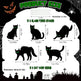 6Pcs Skull Or 6Pcs Tomb Or 5Pcs Black Cat Halloween Yard Sign Decorations Glow In The Dark For Haunted House Garden Yard And Scary Theme Party - EX-STOCK Canada