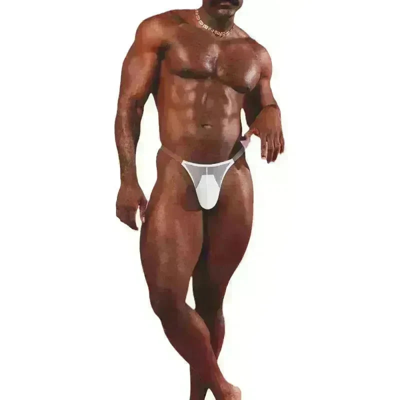 Lightweight High-fork Briefs Transparent Underwear Breathable - EX-STOCK CANADA