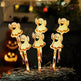 Halloween Decoration Lights Holiday LED Ambient Light - EX-STOCK Canada