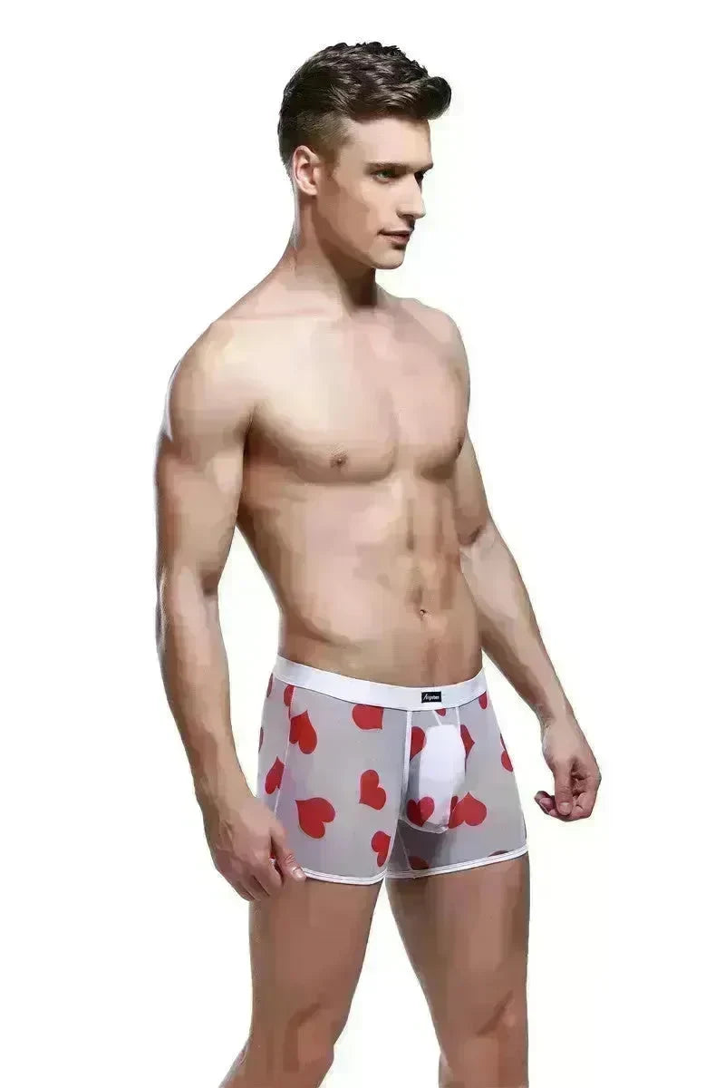 Spandex Mesh Printed Pouch boxer briefs  underwear men - EX-STOCK CANADA