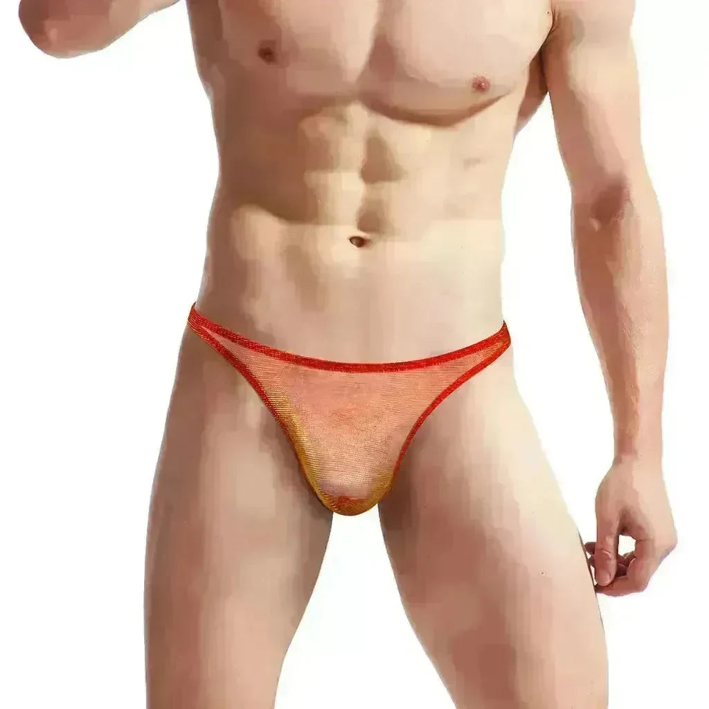 Men's Underwear Silk Spandex Briefs thong - EX-STOCK CANADA