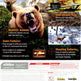 Cabela's Big Game Hunter 2012 