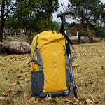 Yellow backpack with gray straps and a hiking pole on grass with trees in the background