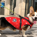 Pet Dog Clothes For Small Dogs Winter Warm Dog Hooded Coat Jackets Chihuahua Pug Outfits Puppy Cat Clothing EX-STOCK Canada 