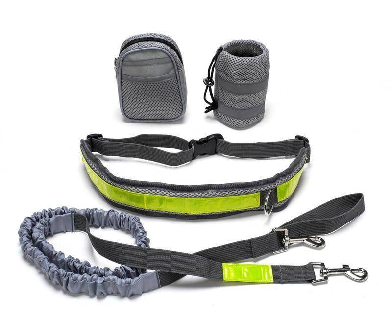Adjustable Hands Free Dog Leash - EX-STOCK Canada