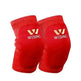 Sanda Sports Protective Knee pad and Elbow Pad braces Support - EX-STOCK CANADA