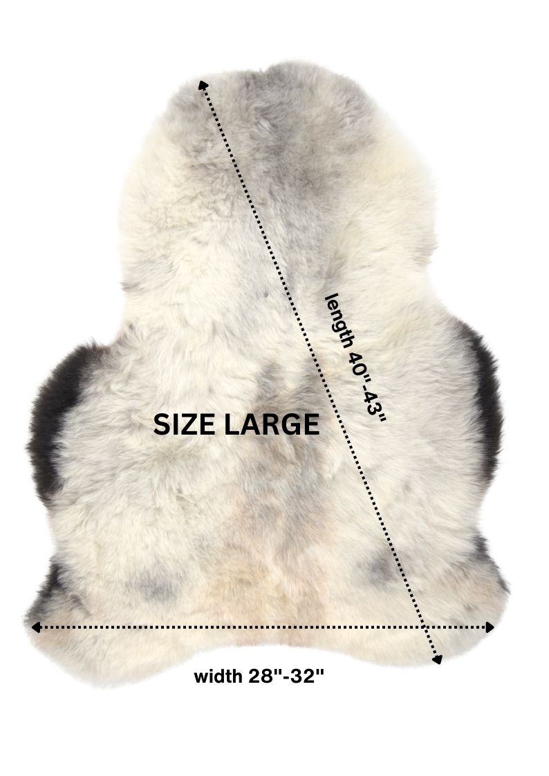 Shorn Dark Grey Edge Icelandic Sheepskin 