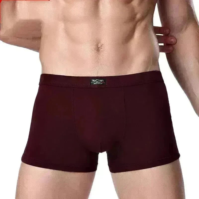 Men's Underwear Boxer Briefs Panties Bamboo Fiber Modal - EX-STOCK CANADA