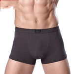 Men's Underwear Boxer Briefs Panties Bamboo Fiber Modal - EX-STOCK Canada