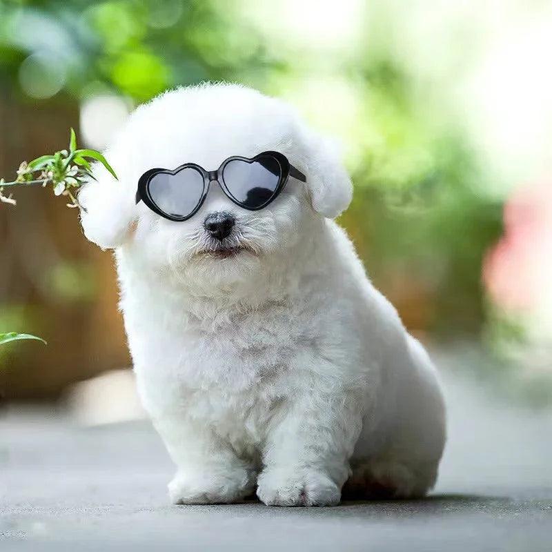 Doll Sunglasses Pet Toy Accessories EX-STOCK Canada 