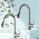 Stainless Steel Brushed Kitchen Sink Faucet with Sprayer - EX-STOCK CANADA