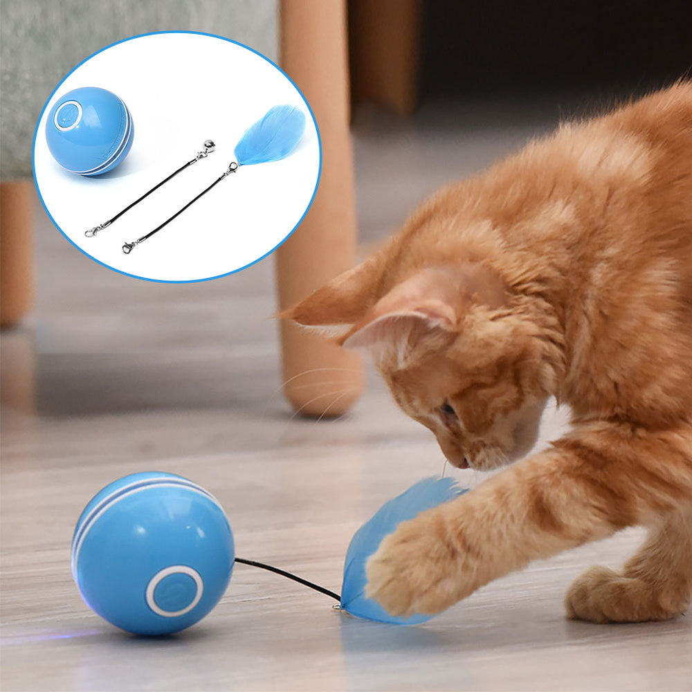Colorful LED Laser Funny Cat Ball EX-STOCK Canada 