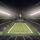 Madden NFL 25 