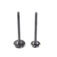 2PCS Motorcycle Engine Nose Alloy Parts Valve CG125 - EX-STOCK Canada