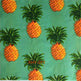 ECO PANDA Reusable Bee wax Wrap - EX-STOCK CANADA
