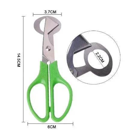 Pigeon Quail Egg Scissor Bird Cutter Opener Kitchen Tool - EX-STOCK Canada