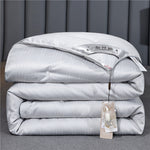 Summer Quilt Spring And Autumn Thickening Thermal Winter Duvet EX-STOCK Canada 