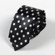 Men's Narrow Plaid Tie – Slim Arrow Polyester Necktie for Business & Formal Wear | Canada & USA