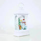 Christmas Decorations Portable Christmas Light Painted Transparent Ornaments - EX-STOCK CANADA