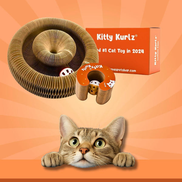 Griffoir pour Chats en Accordéon avec Cloches, Griffoir en Papier pour Chats