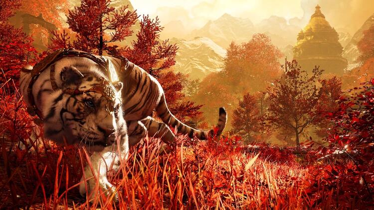 Farcry 4 