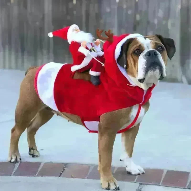 Santa riding outfit - EX-STOCK CANADA
