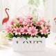 Living Room Set Ornament Hanging Basket Wall EX-STOCK Canada 