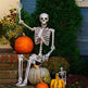 Halloween Movable Joint Skeleton Plastic Model 90cm Party Outdoor Decoration Props - EX-STOCK Canada