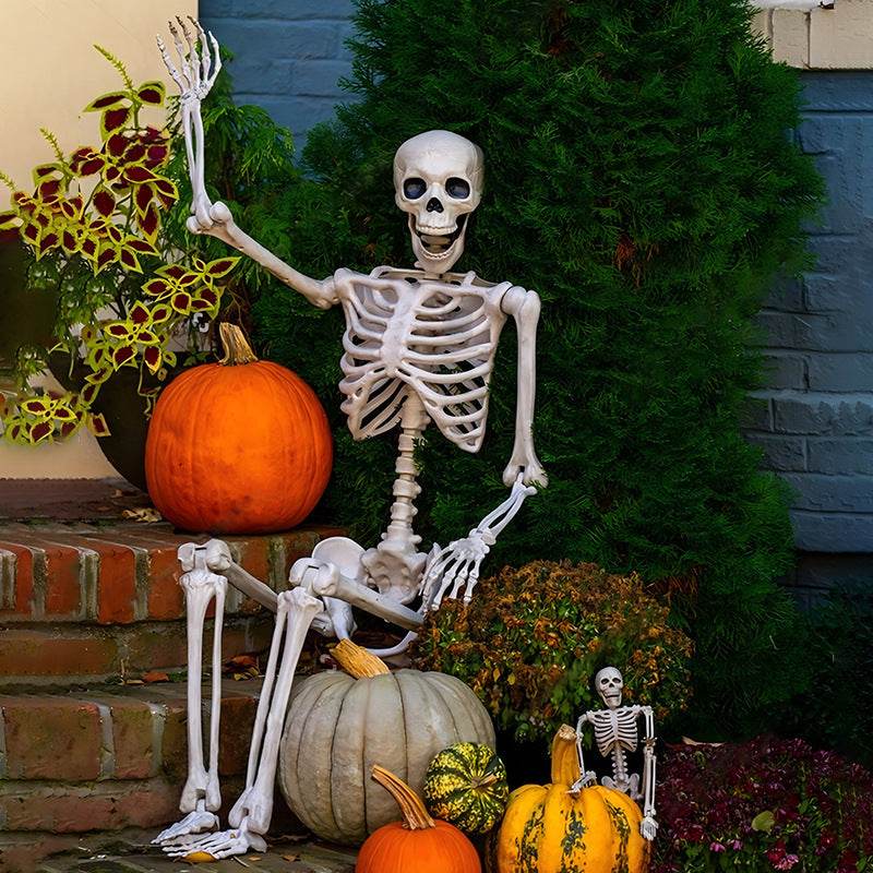 Halloween Movable Joint Skeleton Plastic Model 90cm Party Outdoor Decoration Props - EX-STOCK Canada
