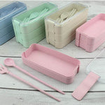 Microwave-Safe Multi Layer Lunch Box for Kids - EX-STOCK Canada