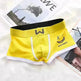 Men's Slim-fit Ball Sack Boxer Brief Sporty Simplicity underwear - EX-STOCK CANADA