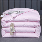 Summer Quilt Spring And Autumn Thickening Thermal Winter Duvet EX-STOCK Canada 