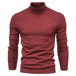 Men's Plain Slim Pullover Polo Sweatshirt Turtleneck Sweater Winter Casual Tops Men - EX-STOCK Canada