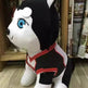 Kuroko's basketball sitting plush plush doll - EX-STOCK Canada