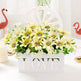 Living Room Set Ornament Hanging Basket Wall EX-STOCK Canada 