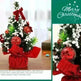 Christmas Ornaments Tree 20cm Mini Christmas Decoration Tree Christmas Day Mall Decoration Desktop Ornaments Small Tree - EX-STOCK CANADA