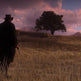 Red Dead Redemption II 