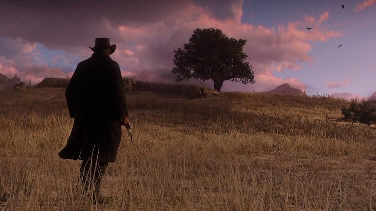 Red Dead Redemption II 