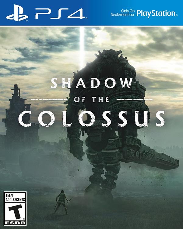 L'OMBRE DU COLOSSUS 