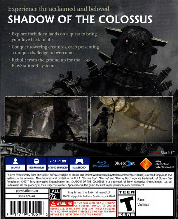 L'OMBRE DU COLOSSUS 