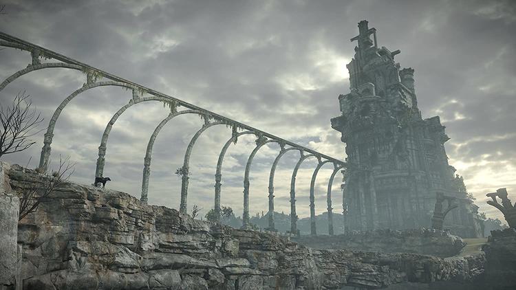 L'OMBRE DU COLOSSUS 