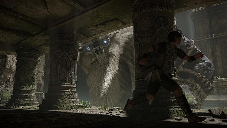 L'OMBRE DU COLOSSUS 