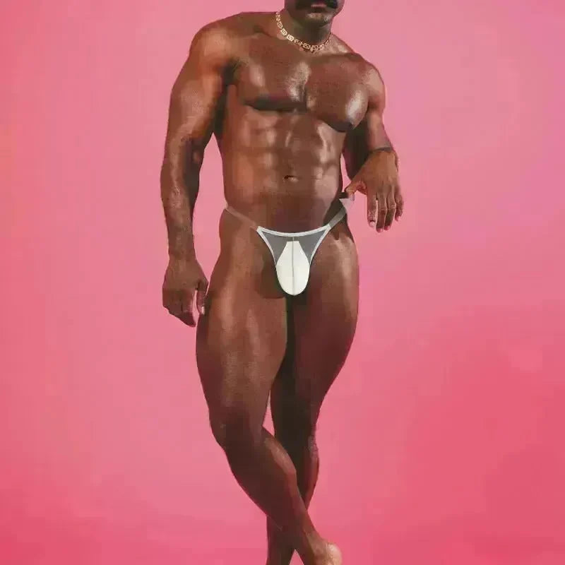 Lightweight High-fork Briefs Transparent Underwear Breathable - EX-STOCK CANADA