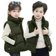 Down Cotton Vest Autumn And Winter Waistcoat Winter Clothing Children Sleeveless Puffer jacket - EX-STOCK CANADA