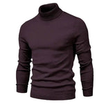 Men's Plain Slim Pullover Polo Sweatshirt Turtleneck Sweater Winter Casual Tops Men - EX-STOCK Canada