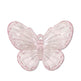 Transparent Butterfly Shoe Buckle Clip – Decorative Shoe Accessory