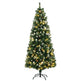 6' Decorated Christmas Trees, Skinny Prelit Artificial Christmas Tree With Snow-dipped Branches, Auto Open, Pinecones EX-STOCK Canada 